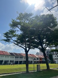 Blk 10 Farrer Park Gardens (Kallang/Whampoa), HDB 4 Rooms #558818941